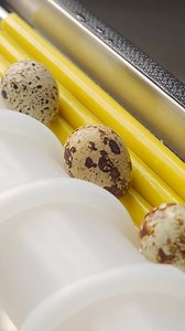 90K views · 1.2K reactions | 鹿 . . . . . . . . . The Evolution of...