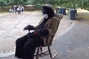 A Young Man Dressed As A Gorilla Dressed As An Old Man... 12 - British Comedy Guide