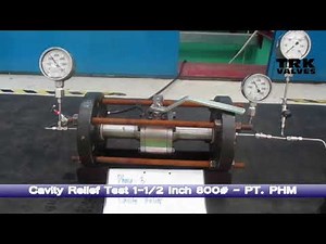 CAVITY RELIEF TEST BALL VALVE 1.1/2IN 800# ( FOR PT. PHM )