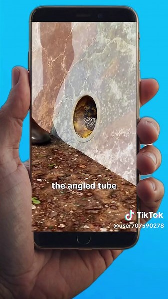 Interesting Facts You Never Knew About Films