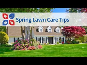 Spring Lawn Care Tips | DoMyOwn.com