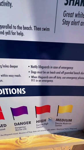Cape Cod Rip Currents: What They Mean & How to Spot Them