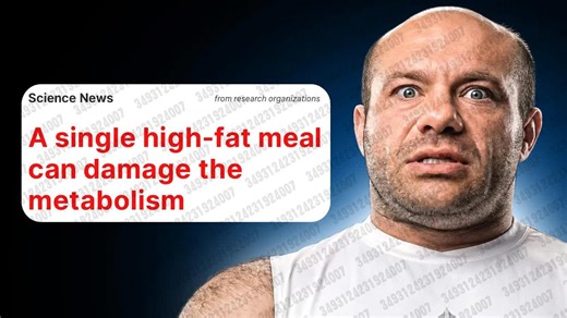 2025.12.24 【Renaissance Periodization】一顿高脂肪餐会摧毁你的新陈代谢吗？（最新研究）