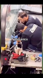 314K views · 6.8K reactions | Pisica intră în cafenea, comandă o...