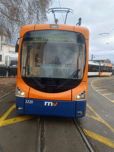 Exploring the Roosevelt Island Tramway Experience