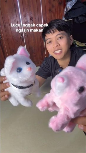 This toy is so cute! It can walk and make sounds.