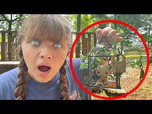 We Found Something Strange in the Woods… Was It a Goblin?!