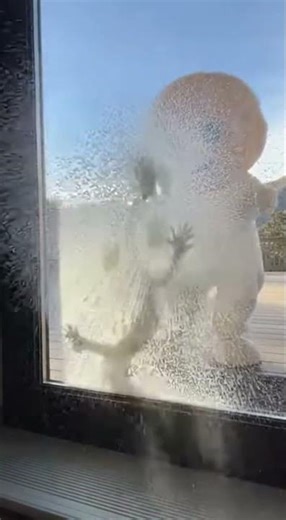Window Cleaner Foam Explosion
