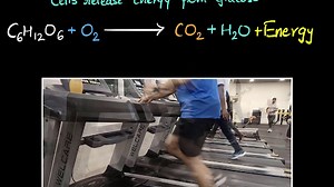Aerobic & anaerobic respiration