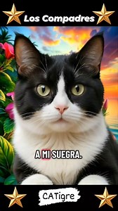 Los Compadres😹😅👍 #comedy #broma #meme #joke #funny #gracioso #darkhumor | CATigre