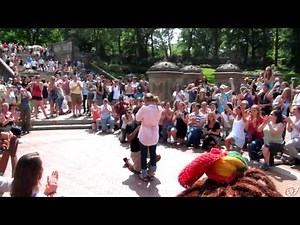 Flash Mob Marriage Proposal at Central Park