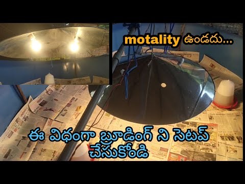 Brooding set-up arrangements || chicks Brooding process Tips || Reddy Organic Farms