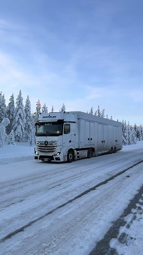 Experience the Magic of the Polar Express in Sweden