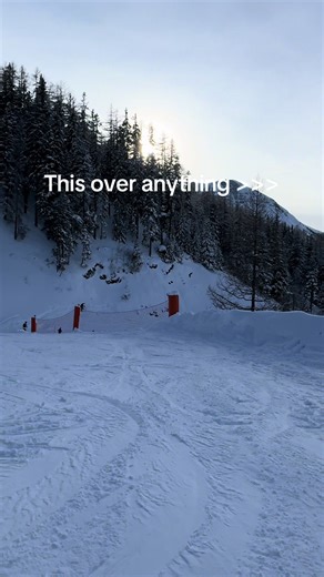 Experience the Joy of Skiing in Nature