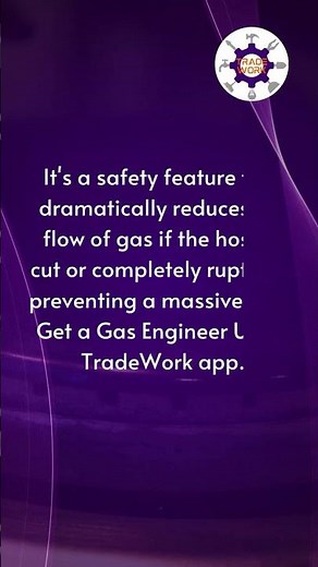 What is an 'excess flow valve' on a gas regulator?