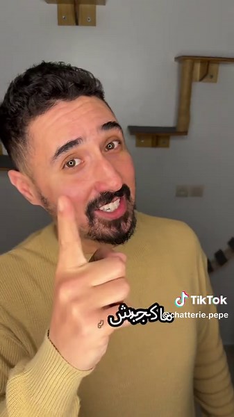 Socialisation des chatons : Guide essentiel