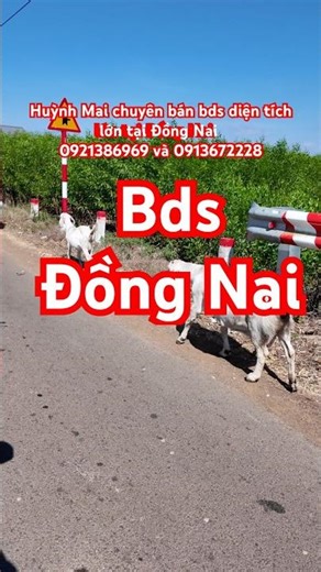 If you are looking for real estate in Dong Nai, please contact me. #bdsdongnai