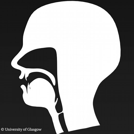 voiced uvular nasal