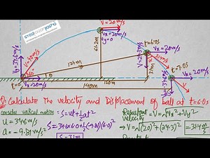 AS Physics Kinematics | Lecture 19 | Calculations involving free fall motion in Two Dimensions