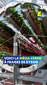 1.8M views · 12K reactions | Voici la méga-ferme à fraises de Dyson  | 1 innovation par jour. | Facebook