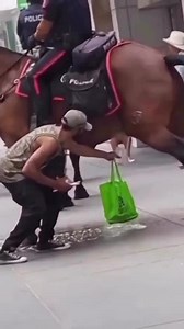 Wtf! Taking Horse Urine To Drink