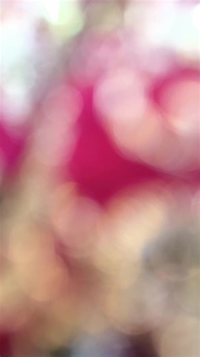 ঈদ কালেকশন নিউ ফার্সি কালেকশন লেডিস ফ্যাশন কে এ নিউ মার্কেট রামু কক্সবাজার WhatsApp 01864-176348 imo 01636322599 #viralpost2026 #ladiesfashion #Ram