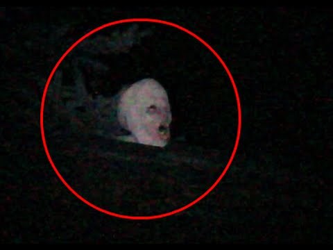 Alien Creature Caught On Video Tape Climbing On Roof