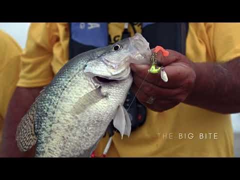 Go Grenada, Mississippi -- Your Outdoor Destination