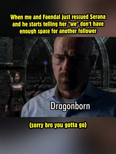 Skyrim Game Memes and Funny Moments Compilation