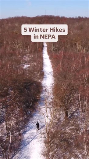 These 5 winter hikes are waiting to be explored in NEPA! From snow-dusted paths to frozen lakeside views, lace up and hit these trails for the perfect seasonal adventure. 👇🏻❄️ #DiscoverNEPA 🥾 Greater Hazleton Rails to Trails in Hazle Twp. 🥾 Mauch Chunk Lake Park in Jim Thorpe 🥾 Black Diamond Section of the D&L Trail in Wright Twp. 🥾 Locust Lake State Park in Barnesville 🥾 Trolley Trail from La Plume to Factoryville 🔗 Find even more scenic winter hikes: https://bit.ly/NEPAScenicWinterHike