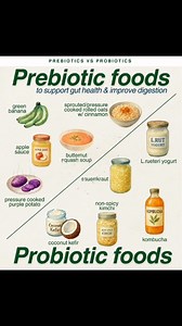 Prebiotics and probiotics are important components of a healthy gut...
