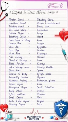 Human Body Organs & Their Official Names 🧠 | Must Know Facts #shorts #biology #nursingstudent
