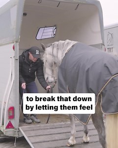 Do not PUSH when your horse doesn't want to load ‼️ If your horse is pawing, leaning back, or sidestepping, it's usually because they are INSECURE. Your horse is NOT "testing" you. If you push when your horse is unsure, it can lead to problems while loading, travelling or unloading. It's really important that you make sure your horse is aware of every step he takes on and off the trailer. I've explained this and much, much more in my online training courses. Want to get access to them and help y