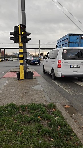 1.1K views · 17 reactions | Karel Van Laer on Reels | Facebook