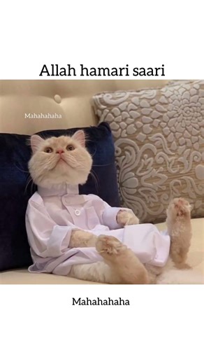 Allah hamein maaf karde😭✅🙏🏻| #subscribe #cat #funny #funnyvideo #funnyshorts