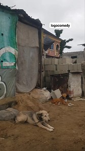 643K views · 21K reactions | logo 藍藍藍 | Logo comedy | Facebook