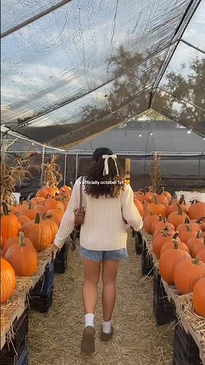 happy october 1st! 🎃 #october #pumpkinpatches