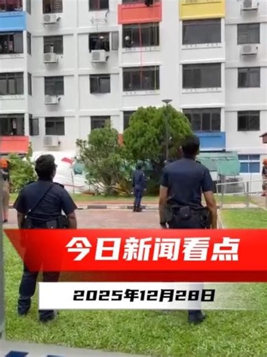 新明日报2025年12月28日热点新闻