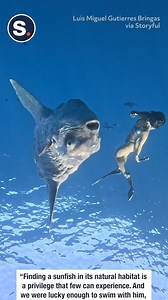 34K views · 378 reactions | That is one BIG fish! | storyful | Facebook