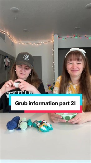 Grub Information Part 2: Crochet Grub Facts & Craft Tips