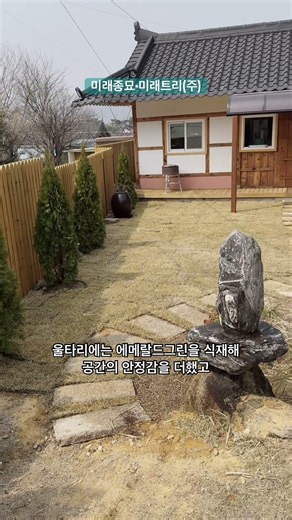 미래종묘•미래트리(주) 토양 개선부터 식재까지, 사찰 조경의 모든 과정 #경주 #에메랄드그린 #사찰 #조경수 #정원 #조경 #나무 #가드닝 #플랜트 #식물 #잔디 #미래트리