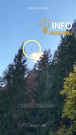 ਇਹ ਖੇਡ ਇੱਕ ਗਲਤੀ ‘ਚ ਜਾਨ ਲੈ ਸਕਦੀ ਹੈ | Wingsuit Flying Explained in Punjabi