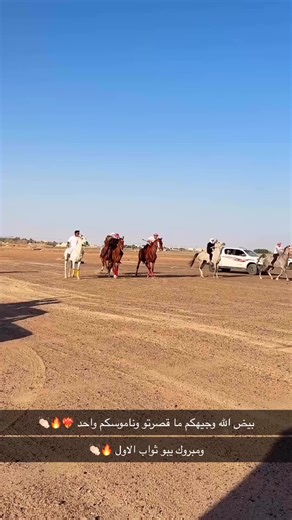 شواش: مغامرات رنيه وقصص بطل ضرم