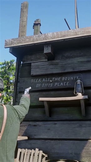 99% Players Didn't Know This Cheat Code - RDR2