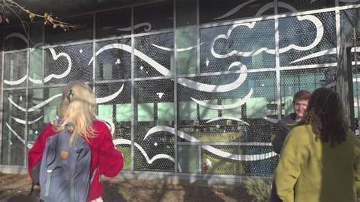 Boise Library unveils bird-safe mural designed to prevent deadly window strikes