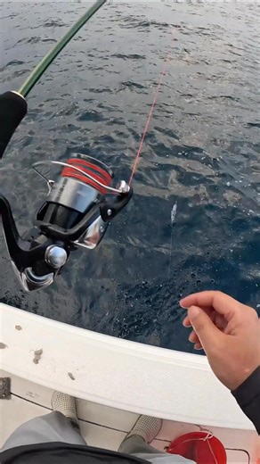 Kanama Smart Bait – Electronic Robotic Lure That Replaces 🐟Dead Bait Revival Tech | Dynamic Live Fish Simulation 🔊Acoustic Fish Attraction | 500m Waterproof Depth ✅30-Days Refund ✅Only Today Worldwide Free Shipping 🚚✨ 🛒www.kanama.com | Kanama