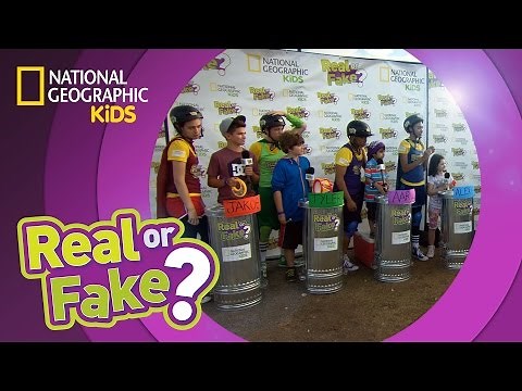 Rock On, Real or Fakers! | Real Or Fake? (Game Show)