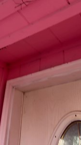 77K views · 5.7K reactions | WALKING STICK WALKING STICK WALKING STICK #walkingstick #bug #wildlife | CatAleah | Facebook