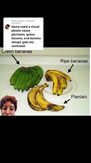 Understanding the Difference Between Plantains and Bananas