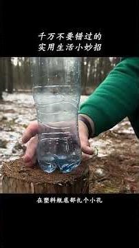 Unlock Lifelong Learning: The Internet's Hidden Gem